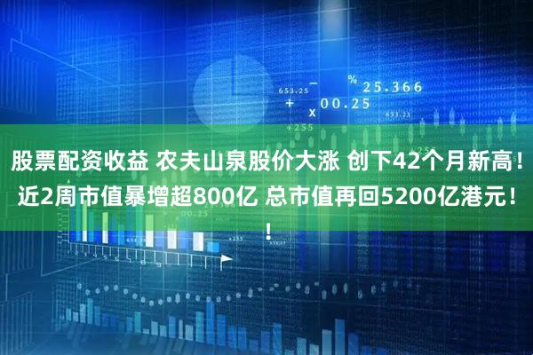 股票配资收益 农夫山泉股价大涨 创下42个月新高！近2周市值暴增超800亿 总市值再回5200亿港元！
