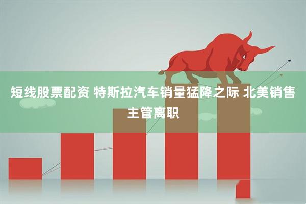 短线股票配资 特斯拉汽车销量猛降之际 北美销售主管离职