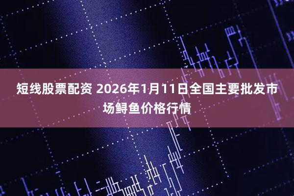 短线股票配资 2026年1月11日全国主要批发市场鲟鱼价格行情