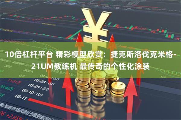 10倍杠杆平台 精彩模型欣赏:捷克斯洛伐克米格-21UM教练机 最传奇的个性化涂装